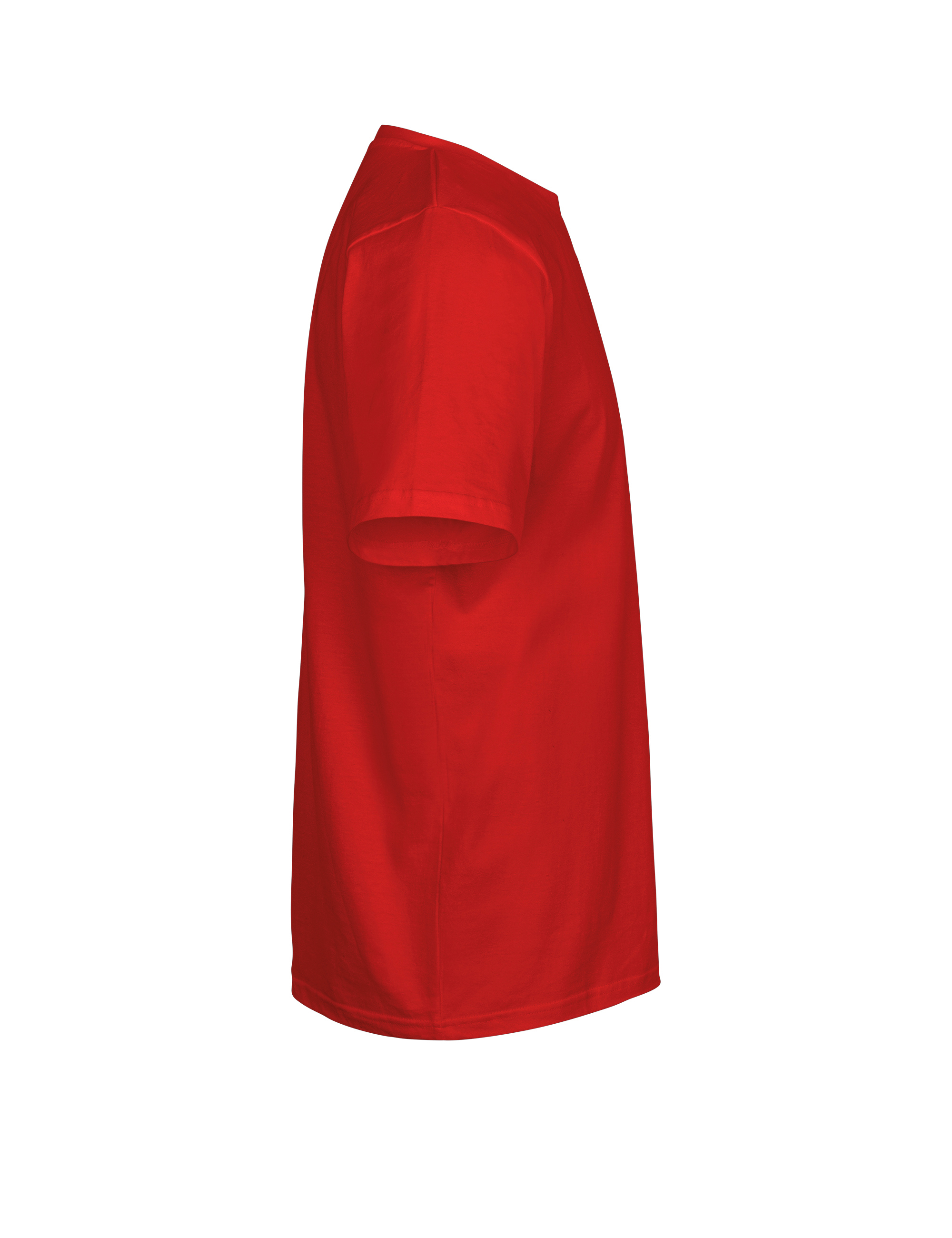 Unisex Regular T-Shirt