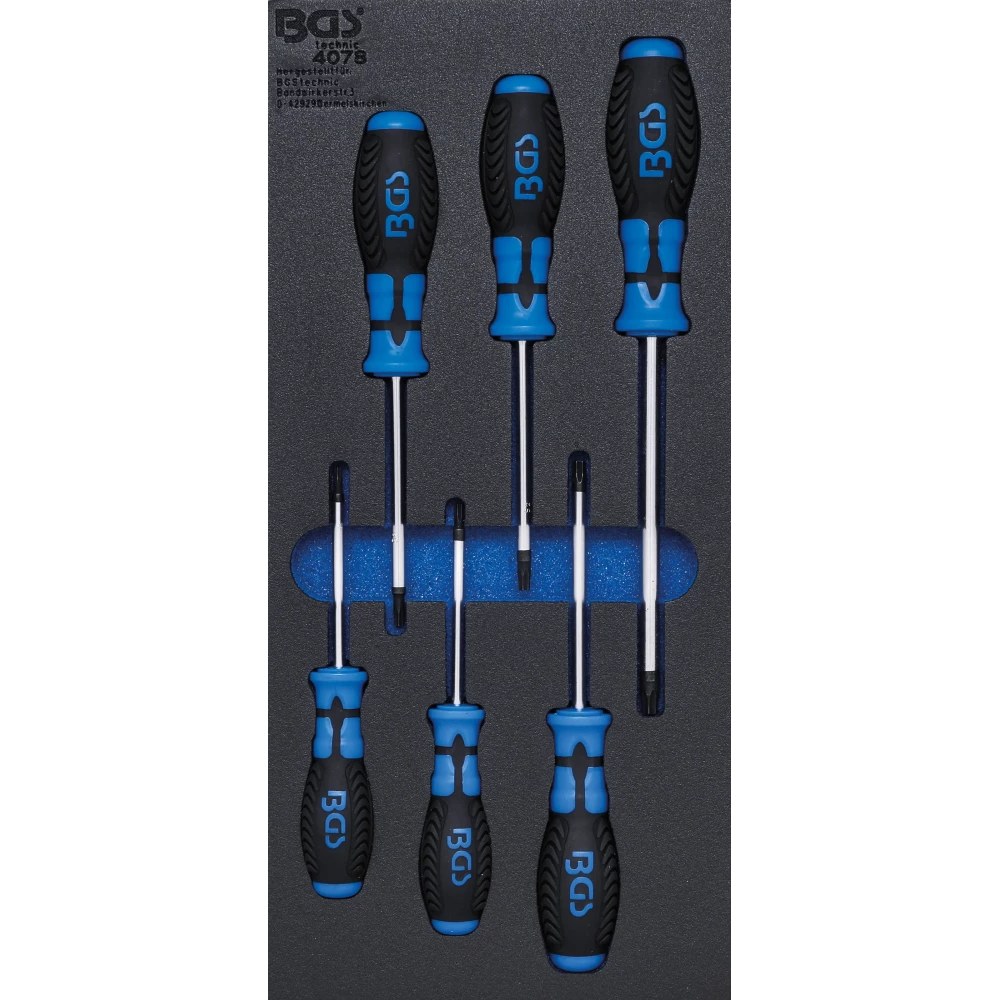 Werkstattwageneinlage 1/3: Schraubendreher T-Profil (für Torx), 6-tlg.