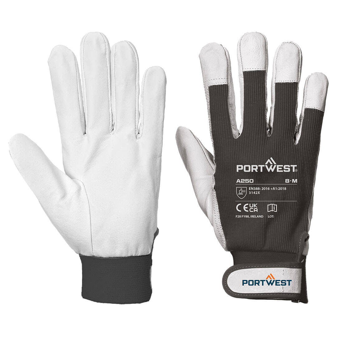 Tergsus Handschuh