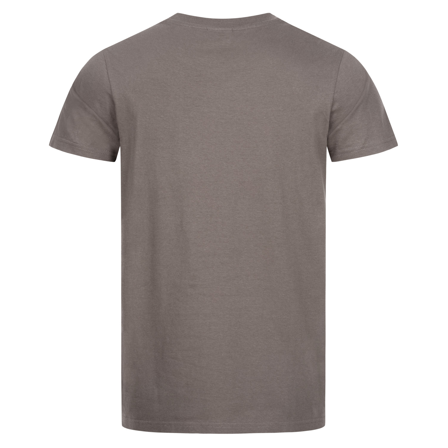 T-Shirt MOTION TEX LIGHT grau / uni