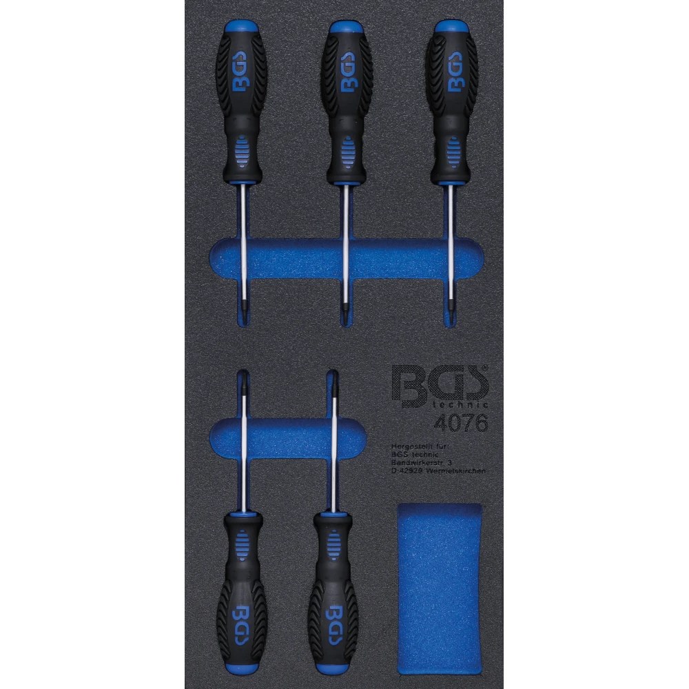 Werkstattwageneinlage 1/3: Schraubendreher T-Profil (für Torx), 5-tlg.