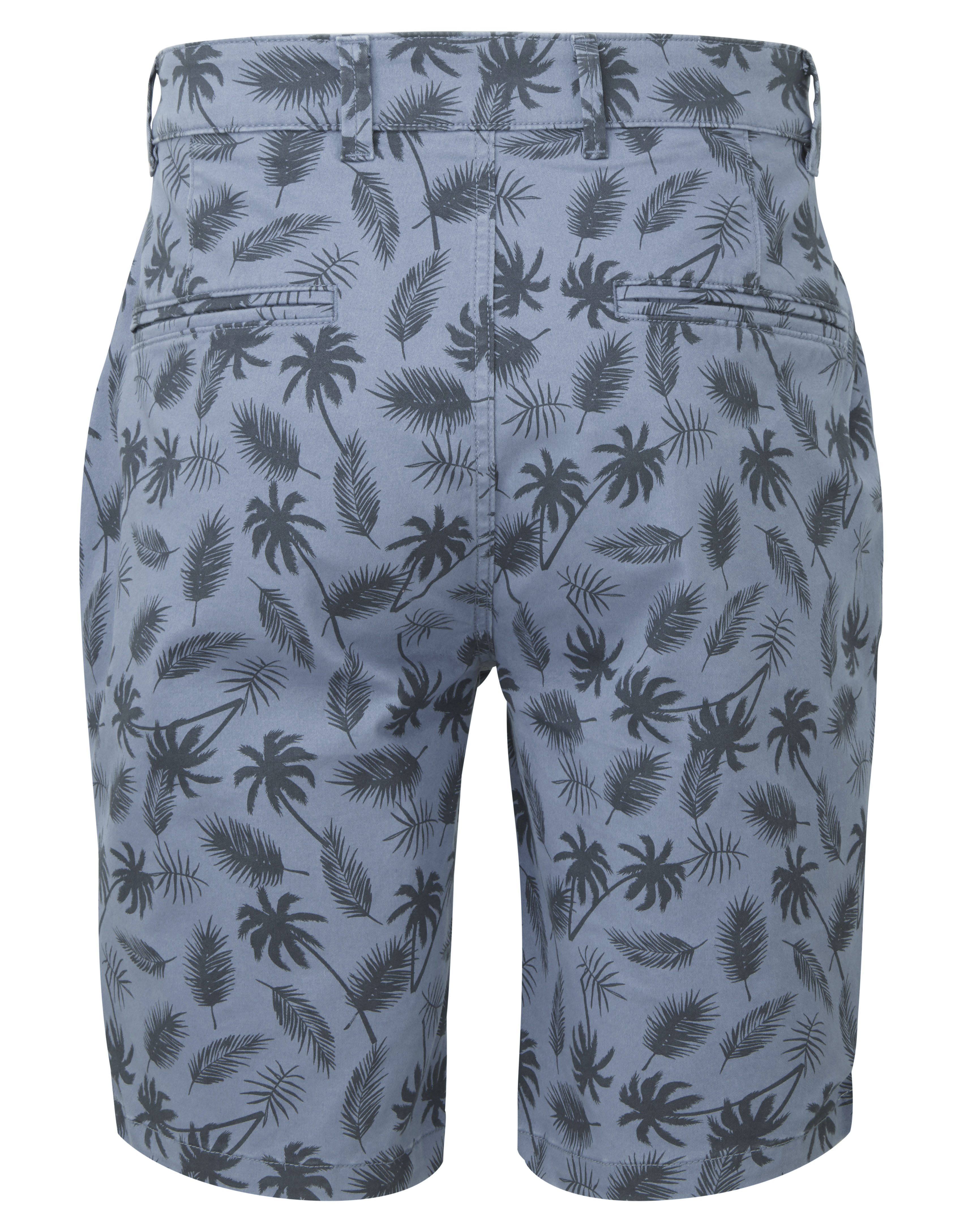 Men´s Palm Print Shorts