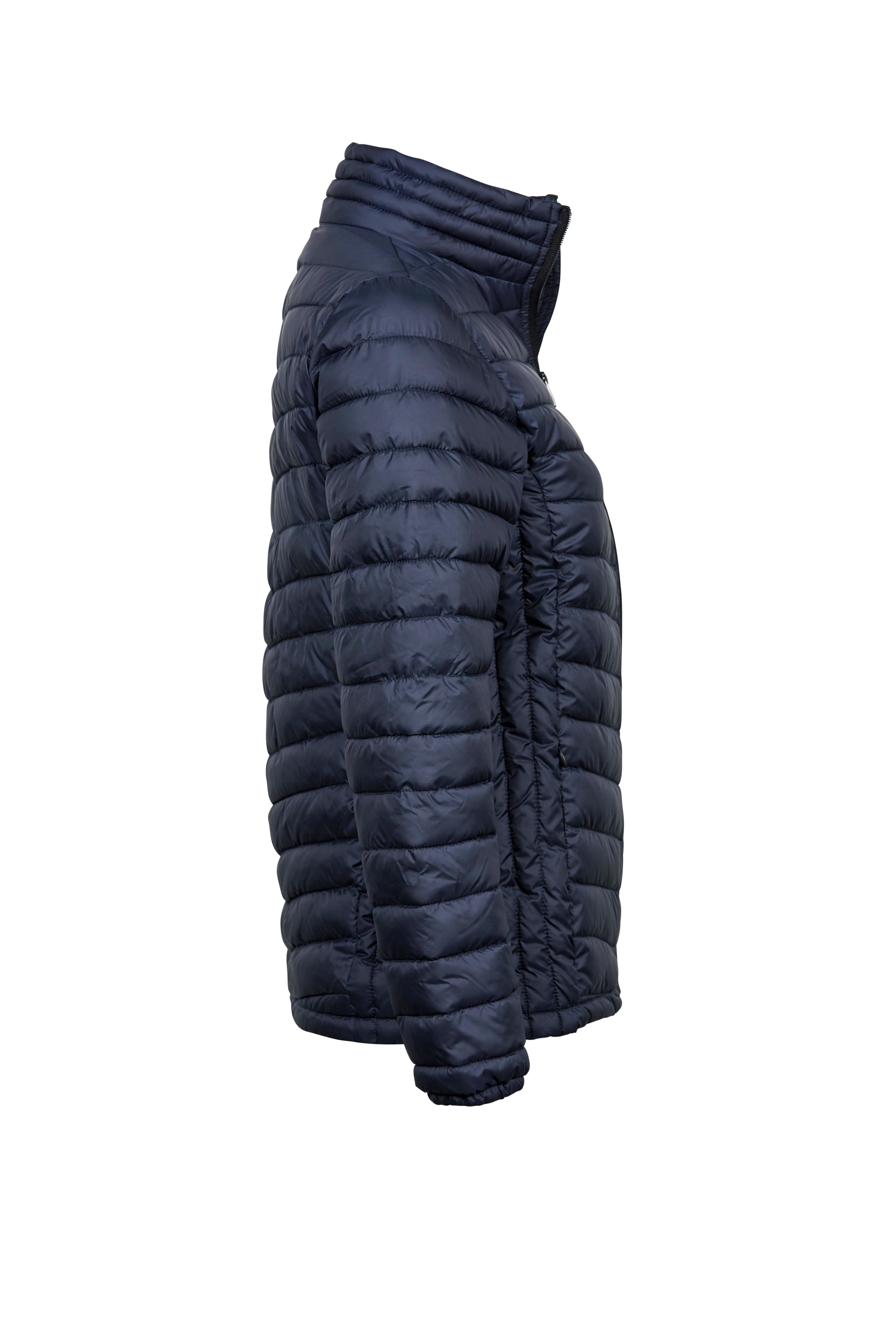 Women´s Zepelin Jacket