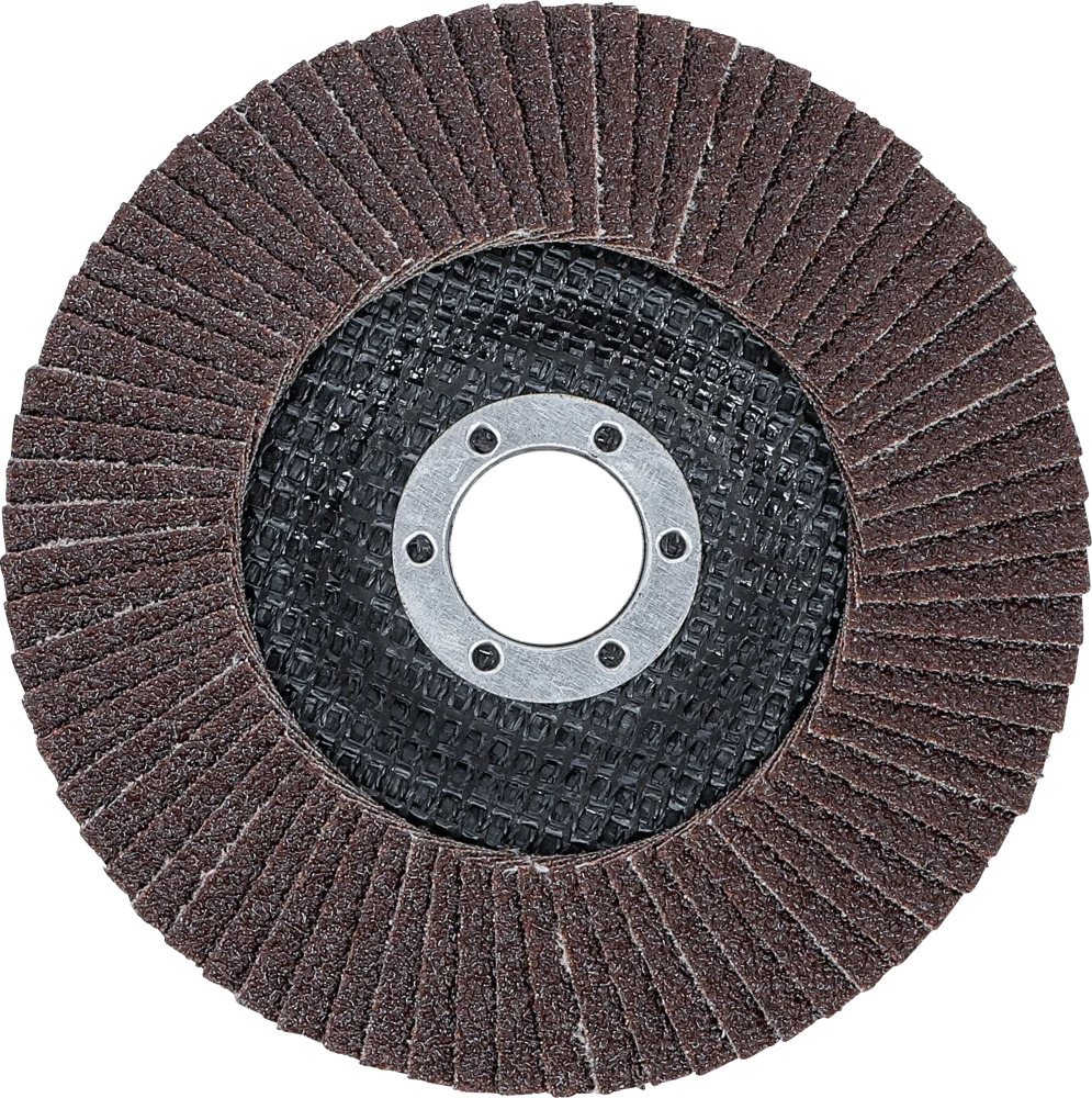 Fächer-Schleif-Scheibe, Ø 125 mm, K 60