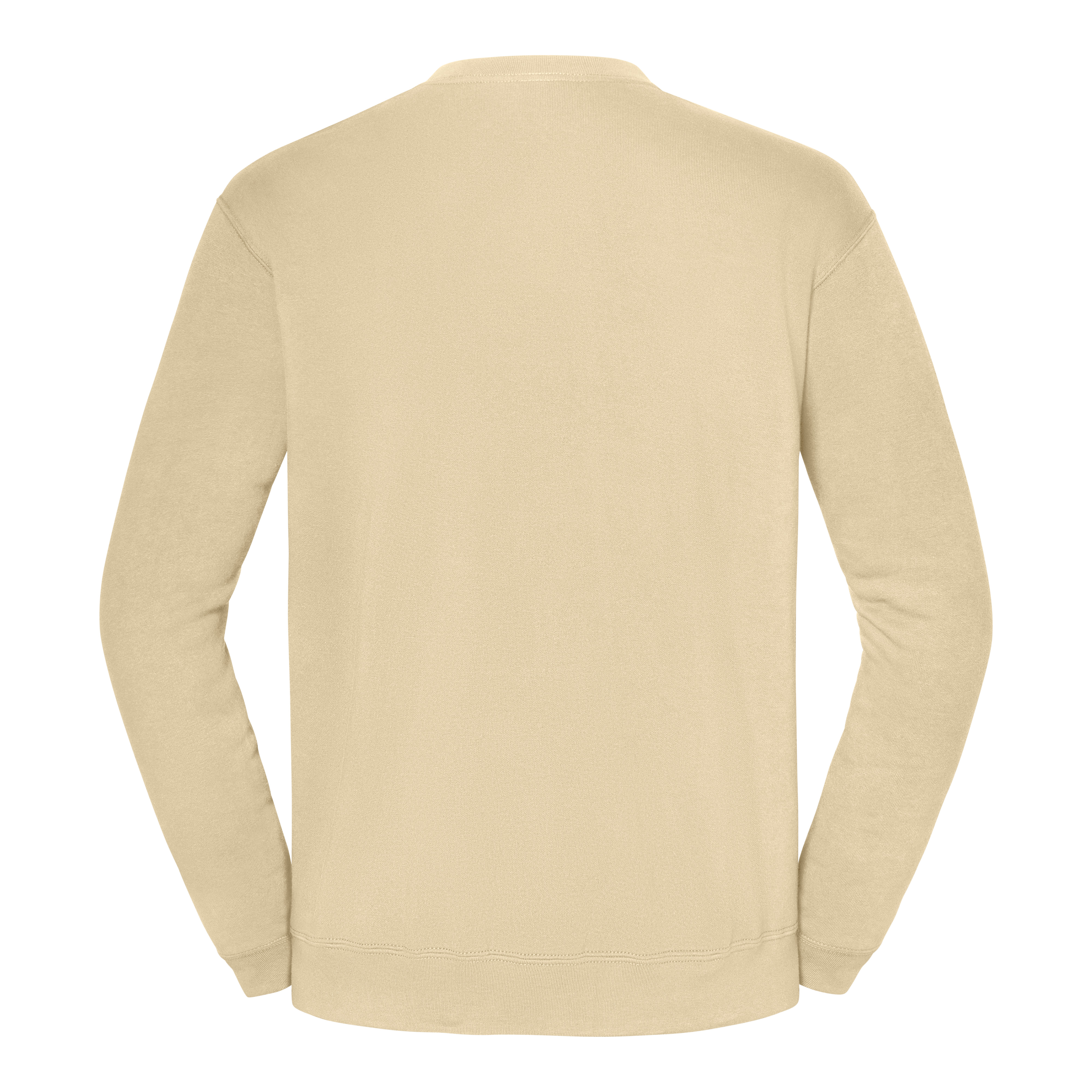 Sweatshirt – ICONIC 250 SET-IN SWEAT
