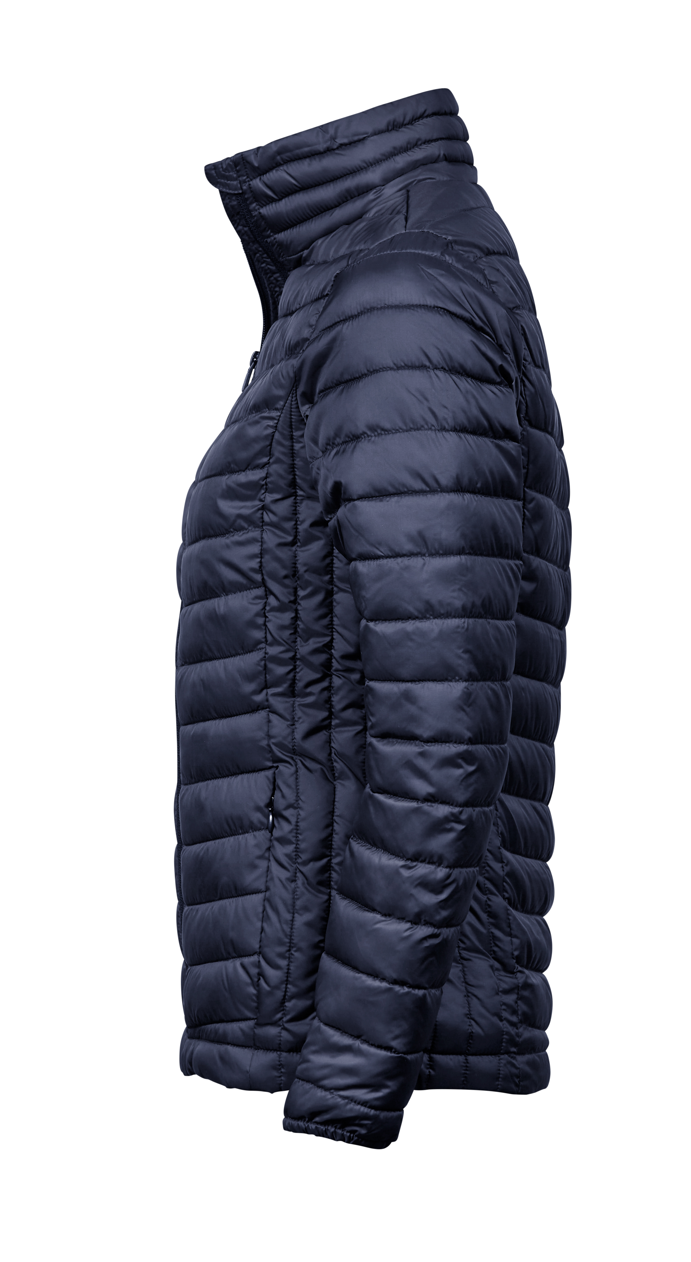 Women´s Zepelin Jacket