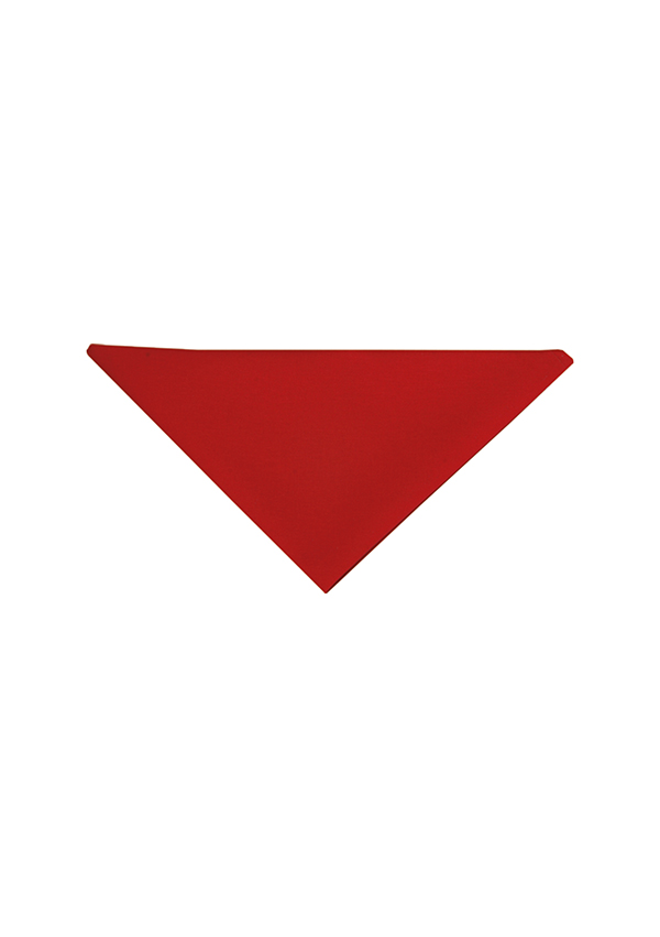Halstuch
