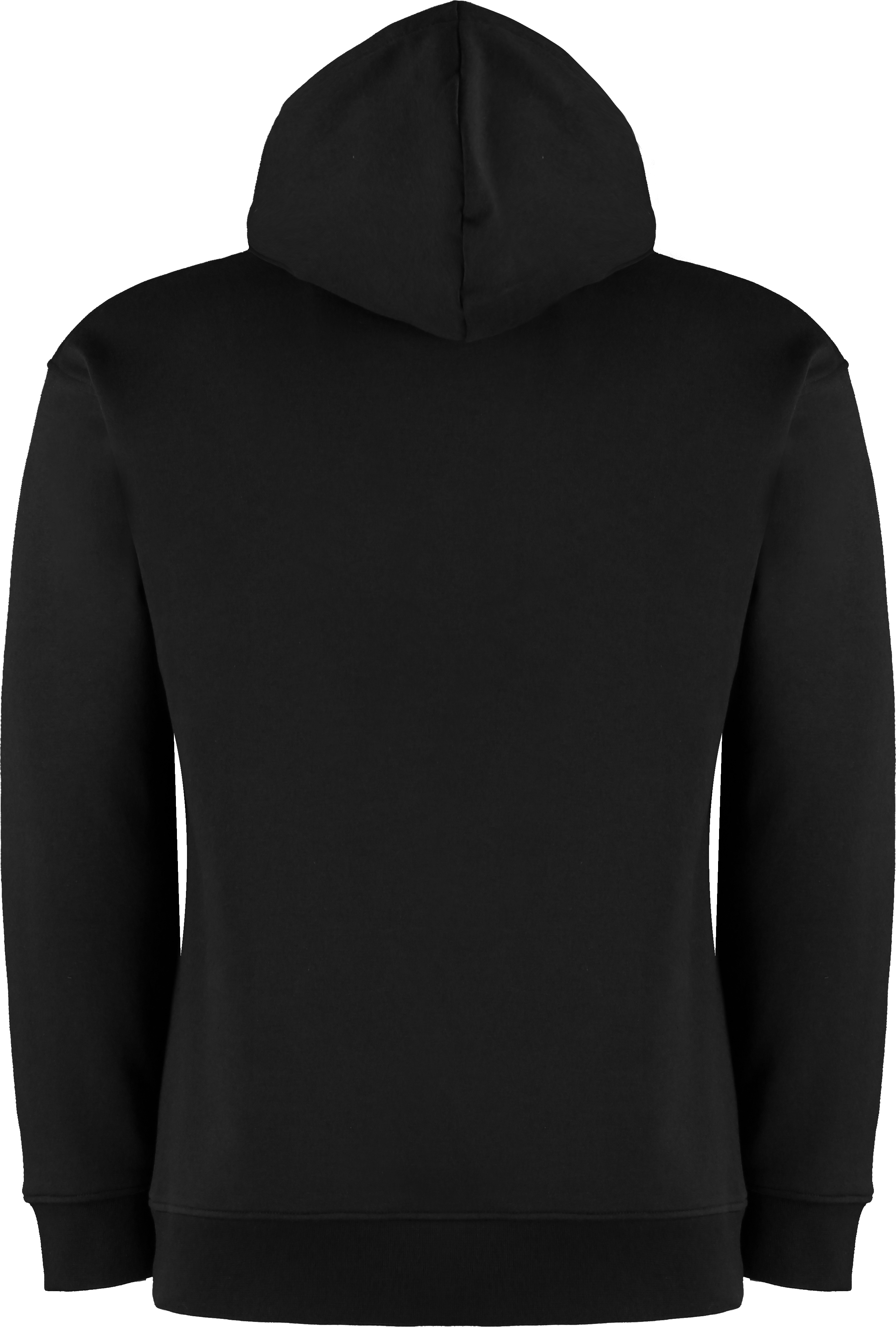Regular Fit Hoodie