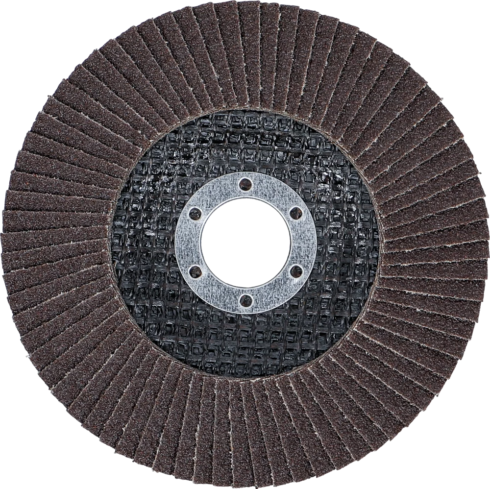 Fächer-Schleif-Scheibe, Ø 125 mm, K 80