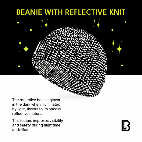 Forvert Vail Reflective Beanie