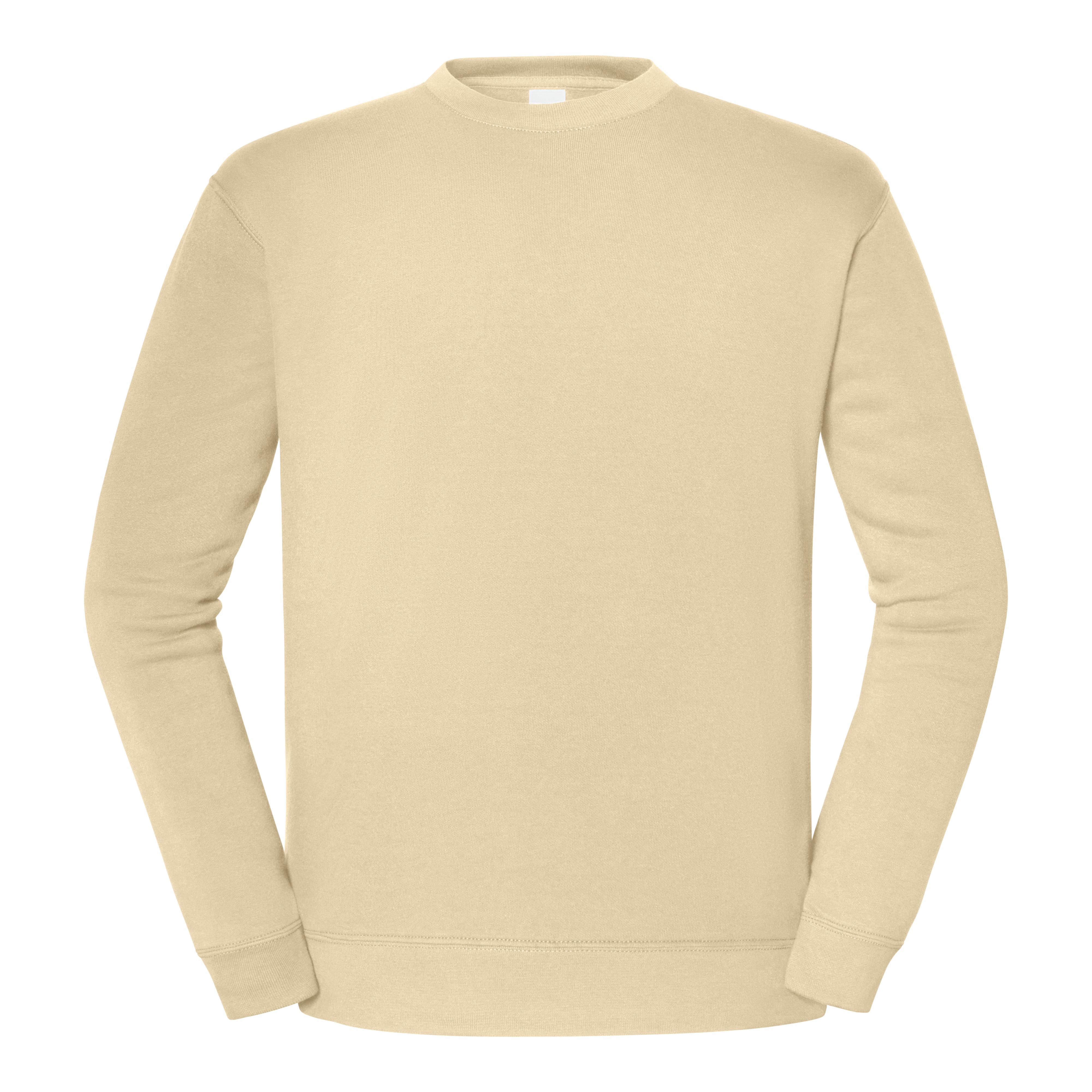 Sweatshirt – ICONIC 250 SET-IN SWEAT