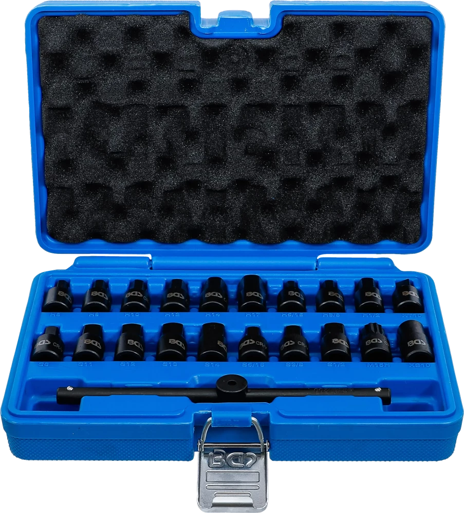 Ölwannen-Spezial-Einsatz-Satz, Antrieb Innenvierkant 10 mm (3/8"), 21-tlg.