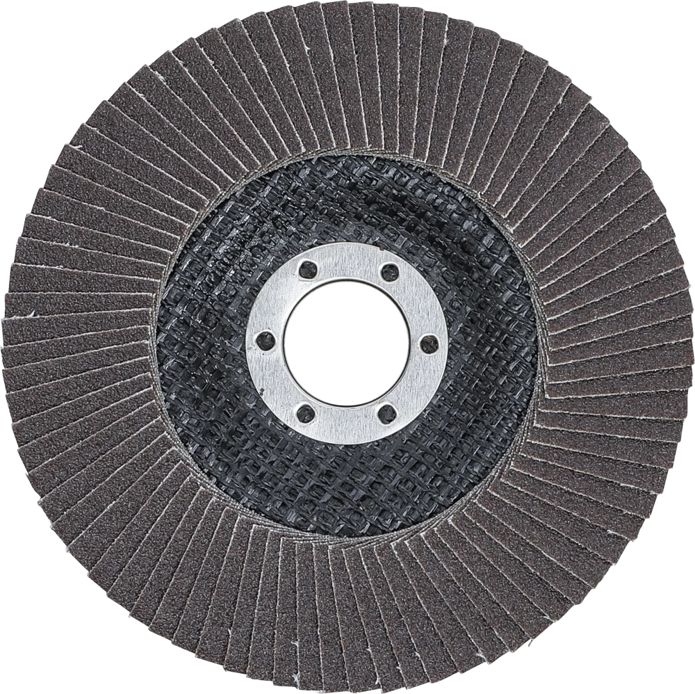 Fächer-Schleif-Scheibe, Ø 125 mm, K 120
