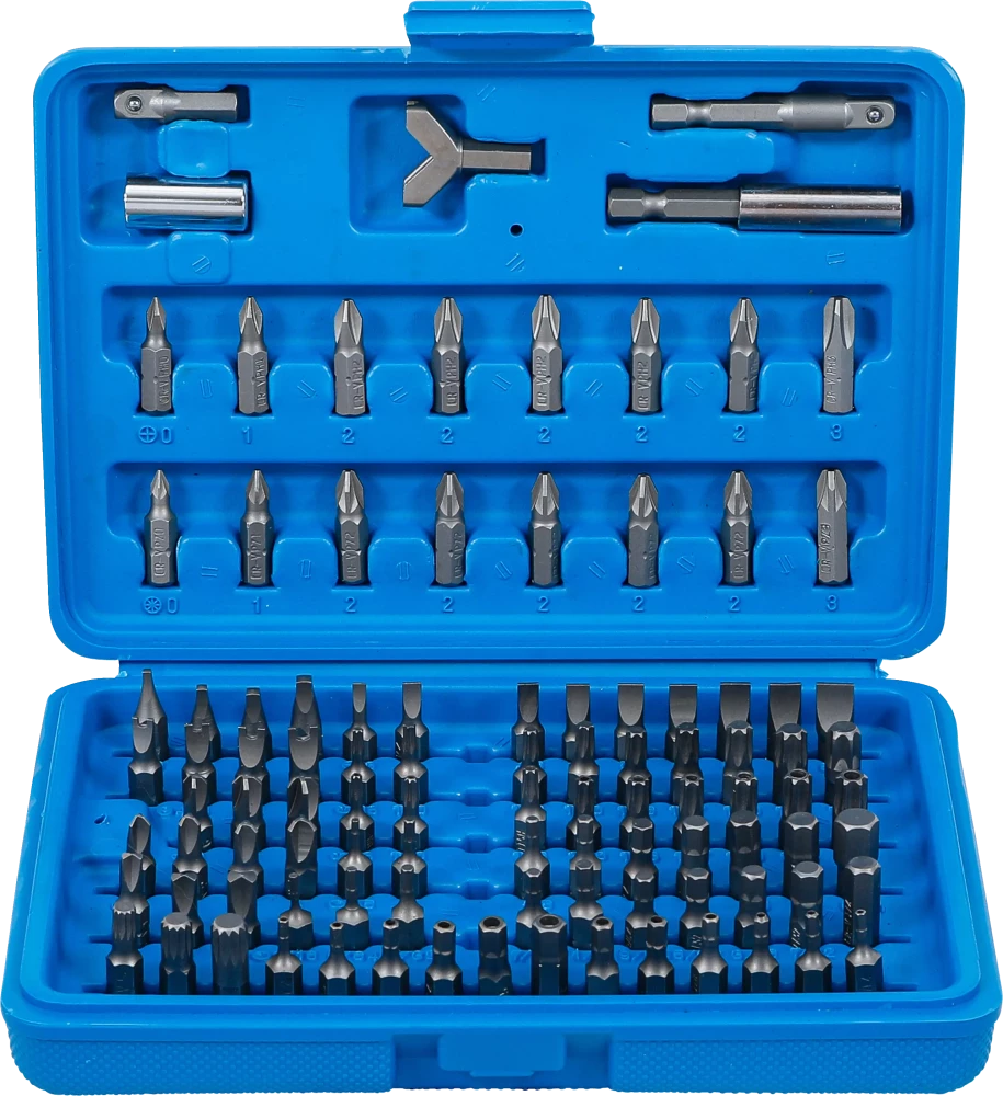 Sicherheits-Bit-Satz, Antrieb Außensechskant 6,3 mm (1/4"), 100-tlg.