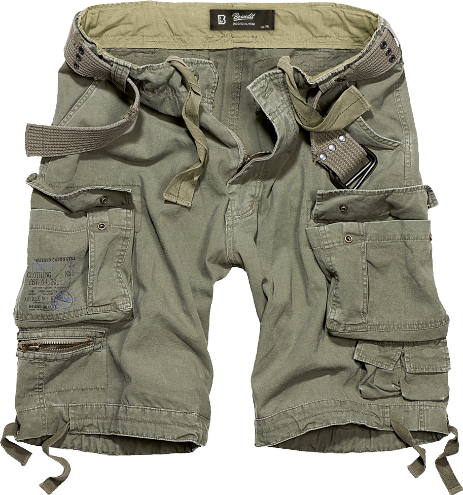 Savage Vintage Shorts