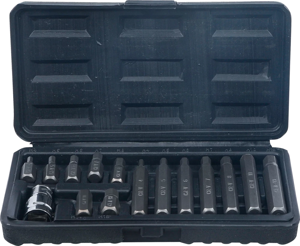 Bit-Satz, Antrieb Außensechskant 10 mm (3/8"), Innensechskant 15-tlg.