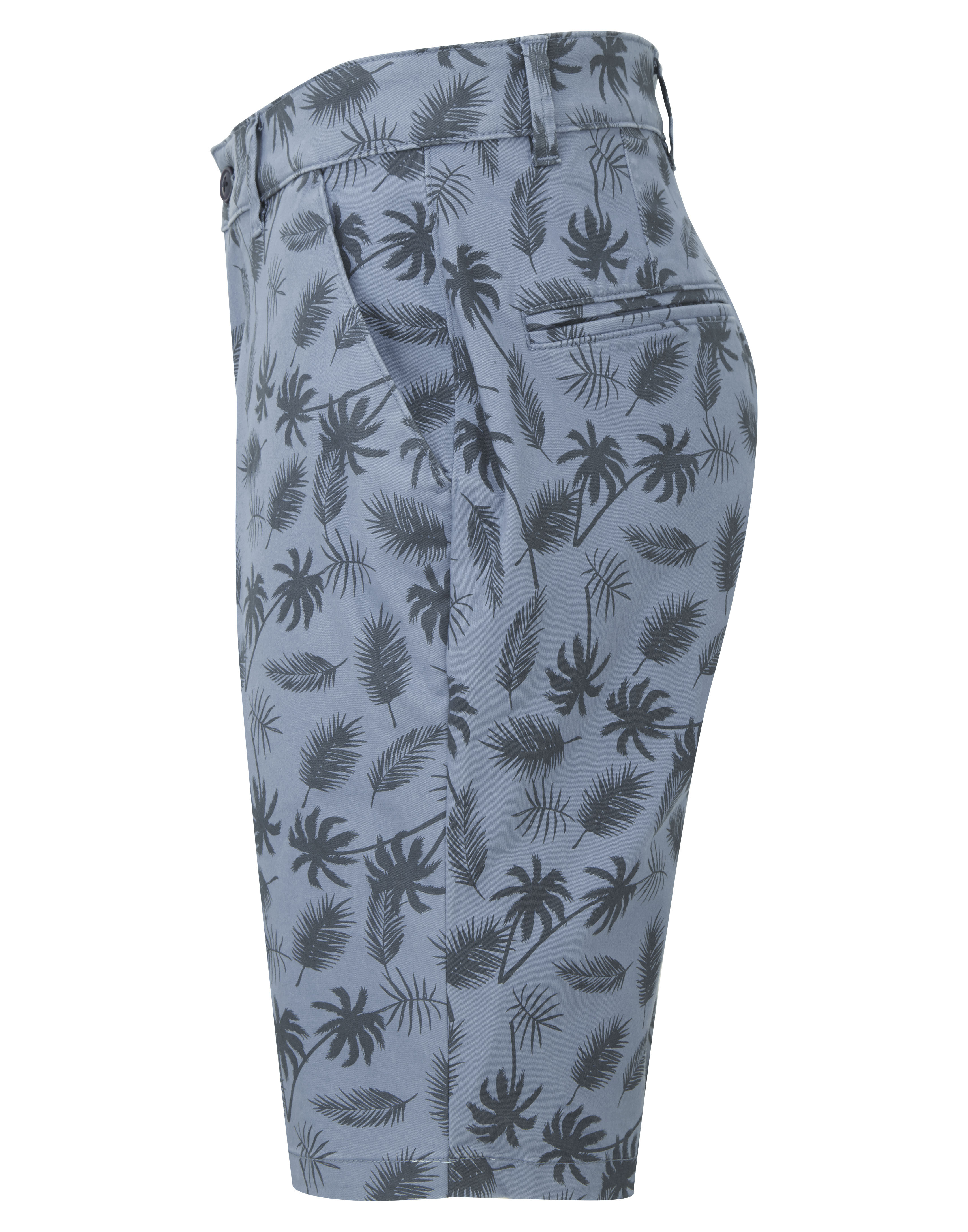 Men´s Palm Print Shorts