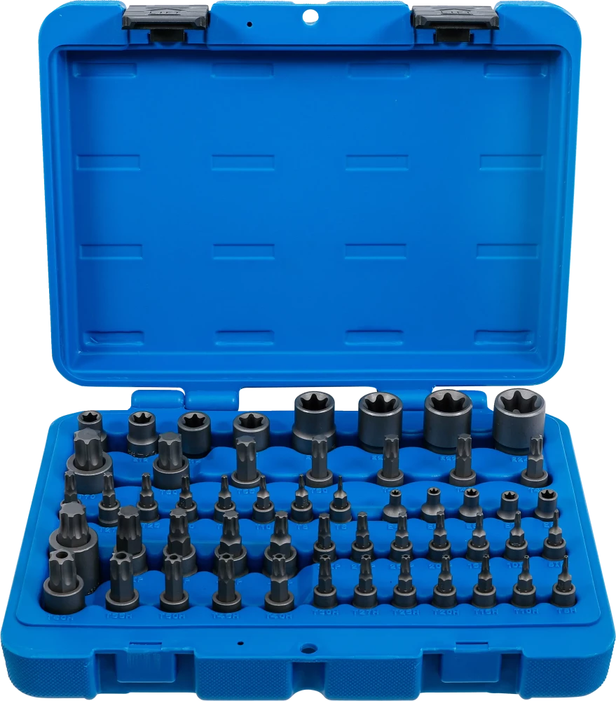 Bit-Einsatz- und Steckschlüssel-Einsatz-Satz, E-Profil / T-Profil (für Torx) / T-Profil (für Torx) mit Bohrung / TP-Profil (für Torx Plus), 52-tlg.