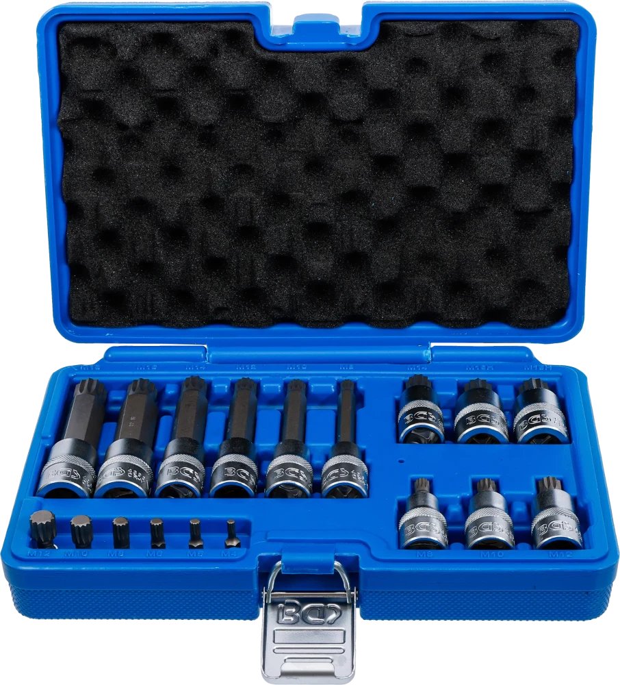 Bit-Einsatz-Satz, Antrieb Innenvierkant 6,3 mm (1/4") / 12,5 mm (1/2"), Innenvielzahn (für XZN), 18-tlg.