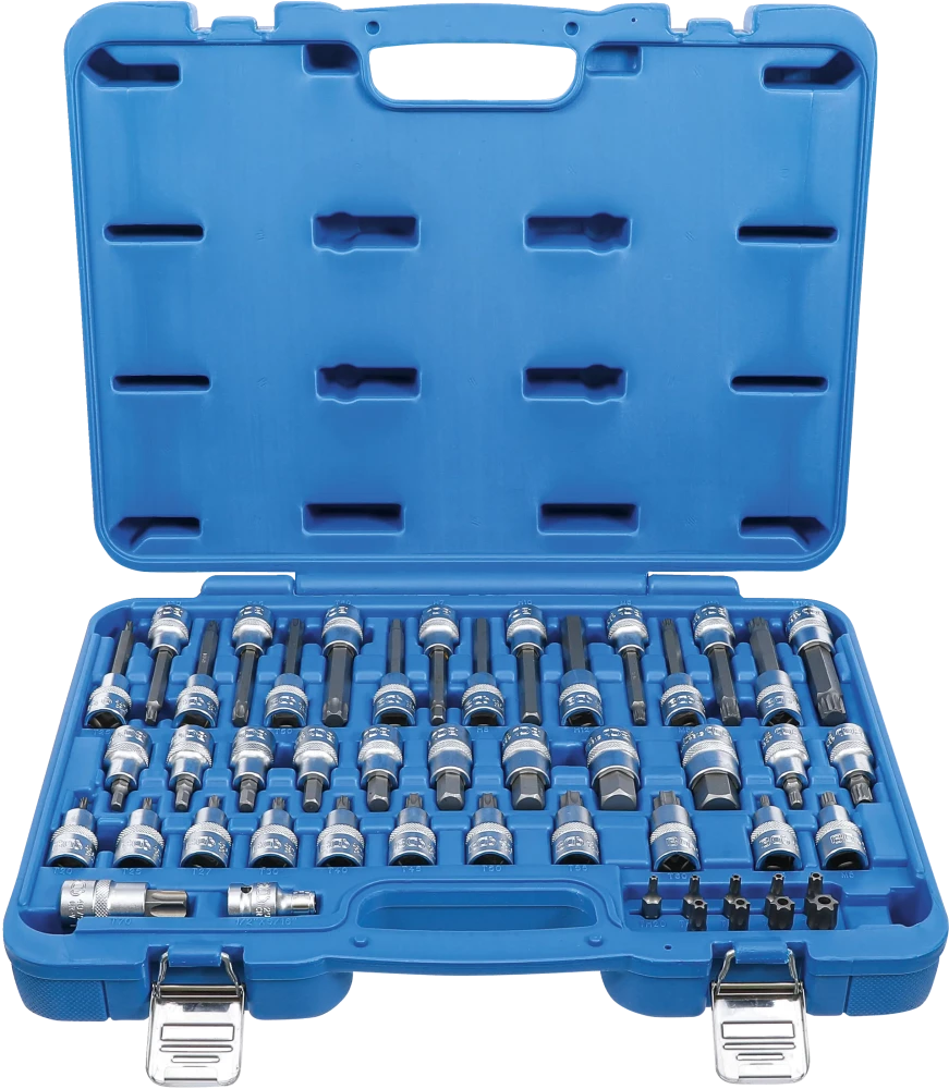 Bit-Einsatz-Satz, Antrieb Innenvierkant 12,5 mm (1/2"), Außensechskant 8 mm (5/16"), 49-tlg.
