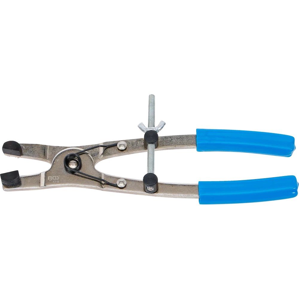Bremskolbenzange, für Motorräder