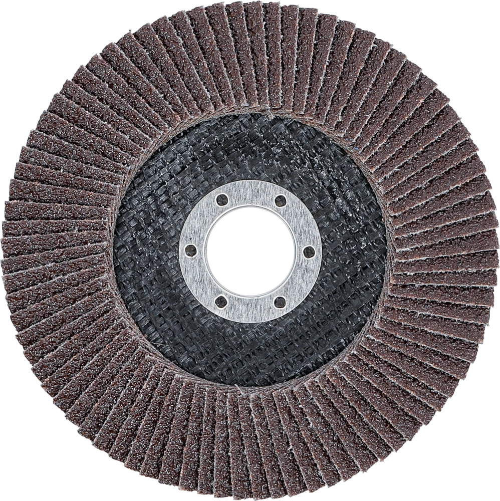 Fächer-Schleif-Scheibe, Ø 125 mm, K 40