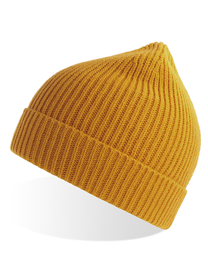 Andy Beanie