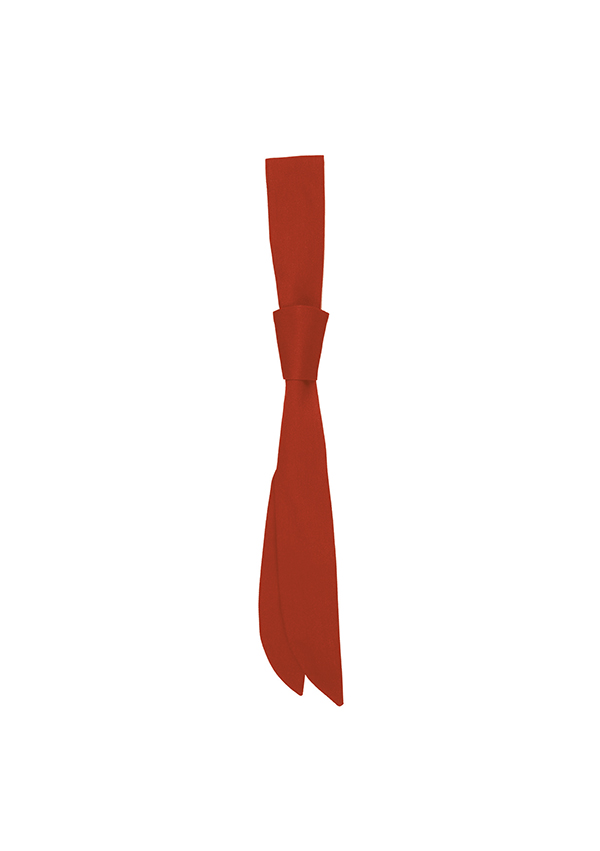 Serviceschleife