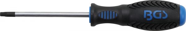Schraubendreher | T-Profil (für Torx) mit Bohrung T30 | Klingenlänge 100 mm